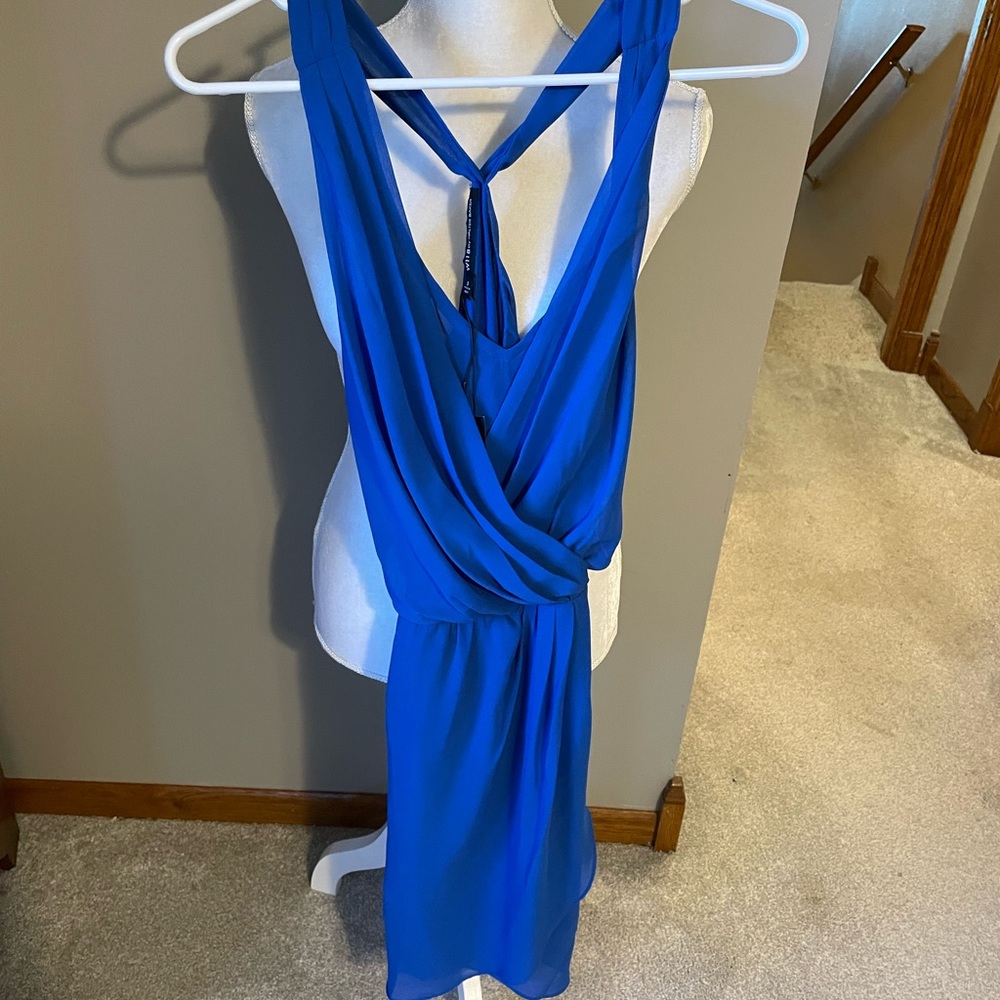 Beautiful Blue Dress by Walter Baker